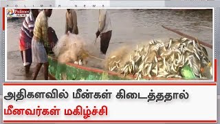 அதிகளவில் மீன்கள் கிடைத்ததால் மீனவர்கள் மகிழ்ச்சி