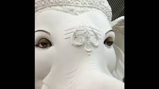 Balapur Ganesh idols 2018 | Eye blinking Ganesh idols | dhoopet ganesh idols