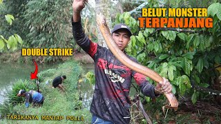 SIAPAPUN PASTI PENGEN NYOBA TARIKAN BELUT MONSTER YG SATU INI