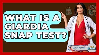 What Is A Giardia Snap Test? - Ask A Pet Vet