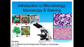 Introduction to Microbiology Lecture, Microscopy & Staining (Part 1)