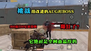 挑战用改进的AUG打BOSS，这血也太厚了用了300发子弹，要爆红了？