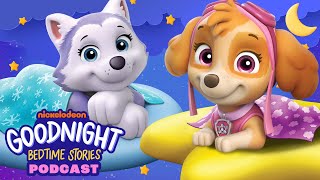 PAW Patrol Soars Into Dreamland Podcast! 😴 Goodnight Bedtime Stories #1 | Nick Jr. Music