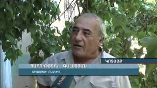 Գազար, Արամուս news.armeniatv.com