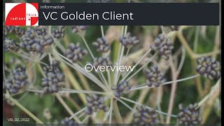 Using a VC Golden Client
