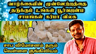 உங்களை முன்னேற விடாமல் தடுக்கும் முன்ஜென்ம பாவங்கள் கர்ம வினைகள் நீங்க | Sabam Neega | Mayan Senthil