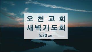 2025년 2월 28일(금)-새벽기도회(시편135편)