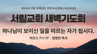 하나님이 보이신 일을 따르는 자가 됩시다 | 아모스 7:1-17 | 임평안 목사 | 2025년 2월 14일 새벽기도회 [서림교회]