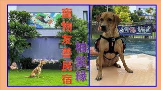 Yilan Pet-Friendly B\u0026B-Yuziyuan Introduce and share, let's take your dog on a trip together!