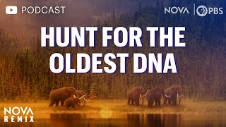 (Podcast Version) Hunt for the Oldest DNA | NOVA Remix