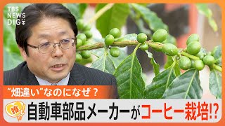 農業経験ないのに…新規事業はコーヒー栽培!?自動車部品メーカーの挑戦　地球温暖化でチャンス？【ゲキ推しさん】｜TBS NEWS DIG