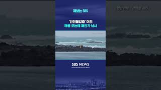 [제보] '안전불감증' 여전…태풍 카눈 북상 와중에 제주 해안가 갯바위서 낚시하는 사람들