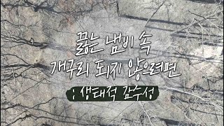 [널뛰기] 끓는 냄비 속 개구리 되지 않으려면: 생태적 감수성