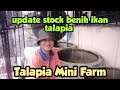 Update Stock Anak Benih Ikan Talapia Untuk Seminggu Di Talapia Mini Farm Kedah