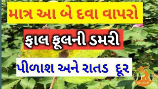 માત્ર આ બે દવા છાટો કપાસ ફાલ ફૂલ ડમરી આવશે | Kapas Ma Pilas  Cotton Micro Nutrient   ikhedutyojana