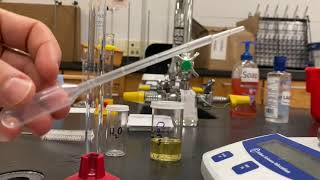 Density lab introduction