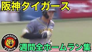 阪神タイガース週間全ホームラン集‼︎3月26日〜28日　2021年シーズン‼︎