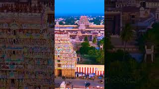 Thiruvarur temple #djimavic3