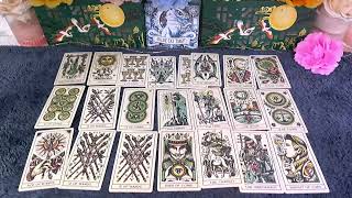 PISCES   - SOMEONE IS ABOUT TO OFFER YOU LOVE PISCES  LOVE TAROT READING