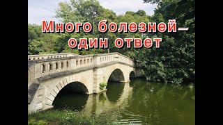 ОШО Осознанность. Ключи к Жизни (Бхагаван Шри Раджиш)