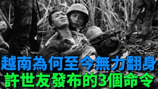 越南為何至今無力翻身？許世友撤軍前發布的3個命令，真是太高明!【老海說史】#歷史#越南#許世友#國際關系