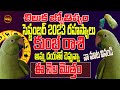 ఈ నెల మొత్తం ...షాక్ | KUMBHA RASI | CHILUKA JOTISHYAM | PARROT ASTROLOGY | SEPTEMBER | SHUBHAM TV