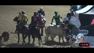 Toros Coleados 1era copa millonaria homenaje a las estrellas salida 1 sábado buen turno