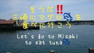 【三崎 グルメ】三崎まぐろを食べに行く【Let's go to MISAKI to eat tuna  part1 】