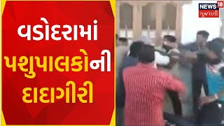 Vadodara News | પશુપાલકોનો ઢોર પકડવા આવેલી પાલિકાની ટીમ પર હુમલો | VMC | Stray Cattle | Gujarat News