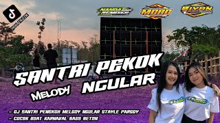 DJ SANTRI PEKOK MELODY NGULAR || STAYLE @bongobarbar   COCOK BUAT CEK SOUND AND PARTY