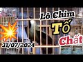 31/07/2024 Lên Tiếp Lô Chim 9 Em Khướu Bổi Lỡ Tố Chất OK. mời Các Bác cùng kết nối. 0974 193 391