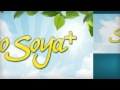 Sosoya meat alternative