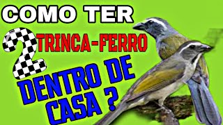 APRENDA COMO TER 2 TRINCA-FERROS DENTRO DA MESMA CASA !