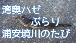 ▶秋の東京湾奥ハゼ   ～ぶらり浦安境川のたび～◀