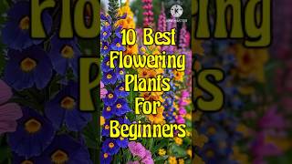 10 BEST FLOWERING PLANTS FOR BEGGINERS/নতুন বাগানীদের জন্য সেরা ১০টি ফুলের গাছ #flowerplants#garden