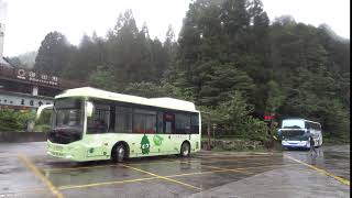 【🚠中華民國台湾のNO.1交通情報局NANKAI夜行急行夢憶の旅人JKT75:世界バス交通転运駅】杉林溪客運GOLDEN DRAGON NON-STEP BUS/FUSO HIGH-STEP BUS。