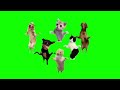 【猫ミーム素材集】38選 cat meme green screen 猫ミーム 猫マニ 猫マニア チピチピチャパチャパ 猫ダンス meme 猫ミーム素材 ダンス猫 shorts