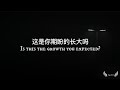 ZQS - 这是你期盼的长大吗 | Is this the growth you expected? (pinyin lyrics)