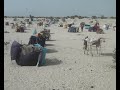 dans les camps de déplacés de la région de diffa niger