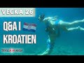 SVARAR PÅ ERA FRÅGOR + Segelsemester  - Ida & Arvid vecka 26