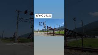 時刻表にない電車が来たと思ったら🫢