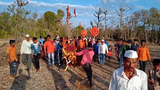 तामोंड गावची आई धाराई जाखमाता शिमग्यात नाचताना(2)