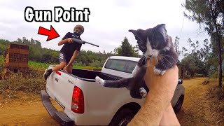 Thieves Steal My Kitten (Gun Point)