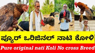 Pure original nati Koli No cross Breed || ಪ್ಯೂರ್ ಒರಿಜಿನಲ್ ನಾಟಿ ಕೋಳಿ . Smileyfarming24