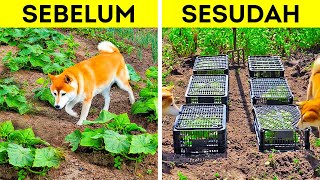 Kiat Berkebun untuk Pemula dan Profesional