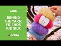 Behind the Yarn: Friends Kid Silk