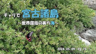 【vlog】チャリで宮古諸島 20240509～0515