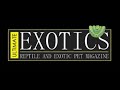 Touring Ultimate Exotics Reptile Breeding Facility's (@Ultimatexoticsreptiles)