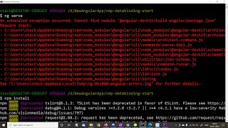 Cannot find module '@angular-devkit/build-angular/package.json'