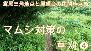 神奈川県・厚木市・愛川町・鳶尾山・・まむし対策の草刈（４回目）